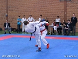 dmd20120401__NKWado-0571