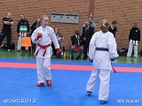 dmd20120401__NKWado-0579