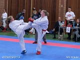 dmd20120401__NKWado-0602