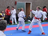 dmd20120401__NKWado-0603