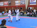 dmd20120401__NKWado-0618