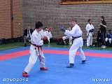 dmd20120401__NKWado-0624