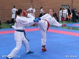 dmd20120401__NKWado-0634