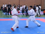 dmd20120401__NKWado-0654