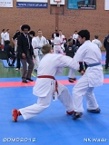 dmd20120401__NKWado-0655