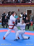 dmd20120401__NKWado-0675