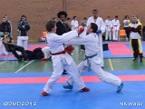 dmd20120401__NKWado-0701