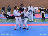 dmd20120401__NKWado-0702