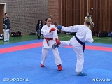 dmd20120401__NKWado-0709