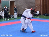 dmd20120401__NKWado-0711