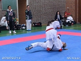 dmd20120401__NKWado-0712