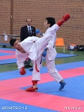 dmd20120401__NKWado-0717