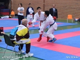 dmd20120401__NKWado-0718