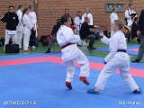 dmd20120401__NKWado-0722