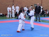 dmd20120401__NKWado-0731