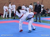 dmd20120401__NKWado-0732