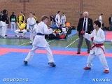 dmd20120401__NKWado-0742