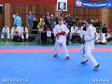 dmd20120401__NKWado-0746