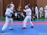 dmd20120401__NKWado-0747