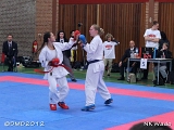 dmd20120401__NKWado-0759