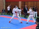 dmd20120401__NKWado-0761