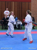 dmd20120401__NKWado-0773