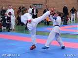 dmd20120401__NKWado-0787