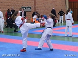 dmd20120401__NKWado-0788