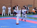 dmd20120401__NKWado-0794