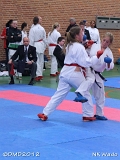 dmd20120401__NKWado-0795