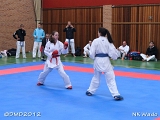 dmd20120401__NKWado-0801