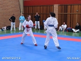 dmd20120401__NKWado-0802