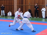 dmd20120401__NKWado-0804