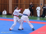 dmd20120401__NKWado-0805