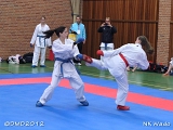 dmd20120401__NKWado-0808