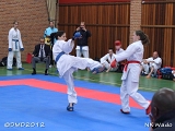 dmd20120401__NKWado-0810