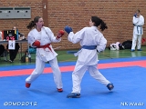 dmd20120401__NKWado-0813