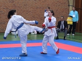 dmd20120401__NKWado-0816