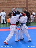 dmd20120401__NKWado-0817