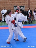 dmd20120401__NKWado-0818