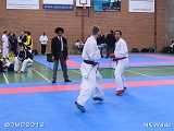 dmd20120401__NKWado-0819