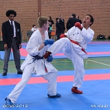 dmd20120401__NKWado-0821