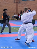 dmd20120401__NKWado-0822