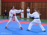 dmd20120401__NKWado-0828