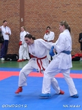 dmd20120401__NKWado-0833