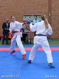 dmd20120401__NKWado-0843