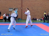 dmd20120401__NKWado-0846