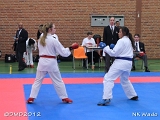 dmd20120401__NKWado-0857