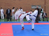 dmd20120401__NKWado-0859