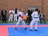 dmd20120401__NKWado-0861